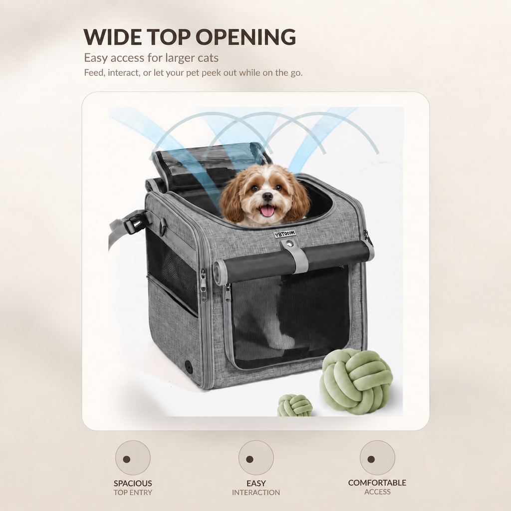 Small dog inside a ventilated top-opening pet travel carrier